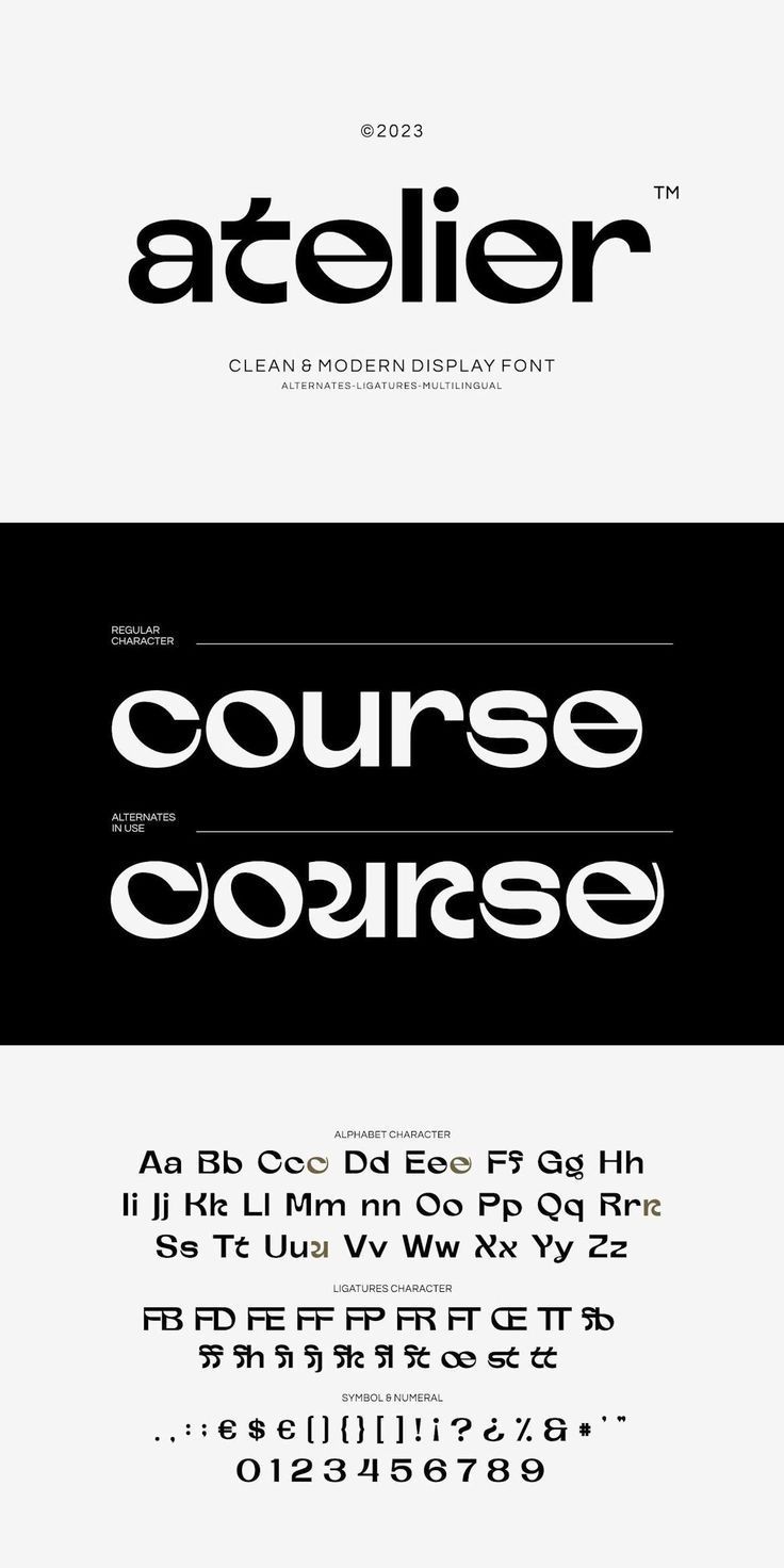 Serif Fonts Meet Modern Display Typeface for Clean Design