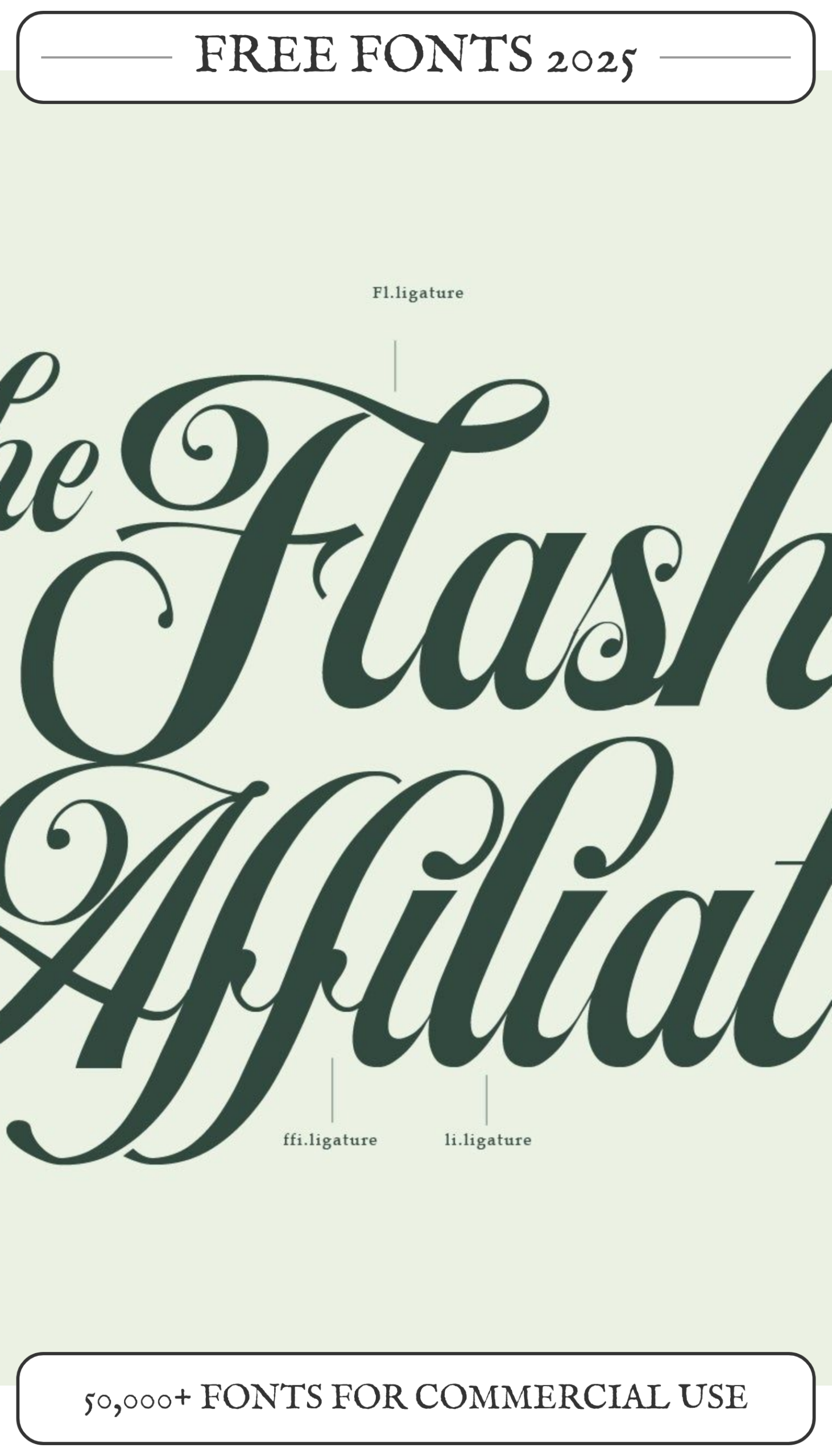 Serif fonts that elevate your branding and create timeless elegance