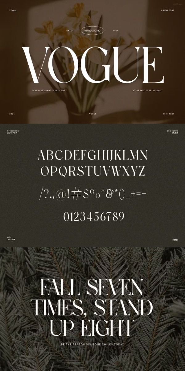 Vogue Elegant Serif Font Typeface