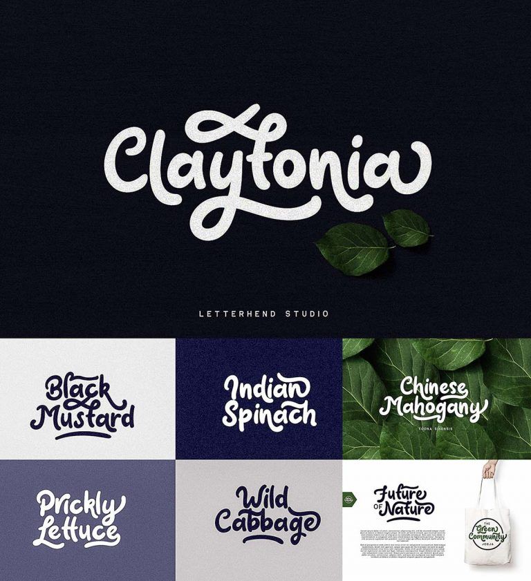 Claytonia script font | Free download