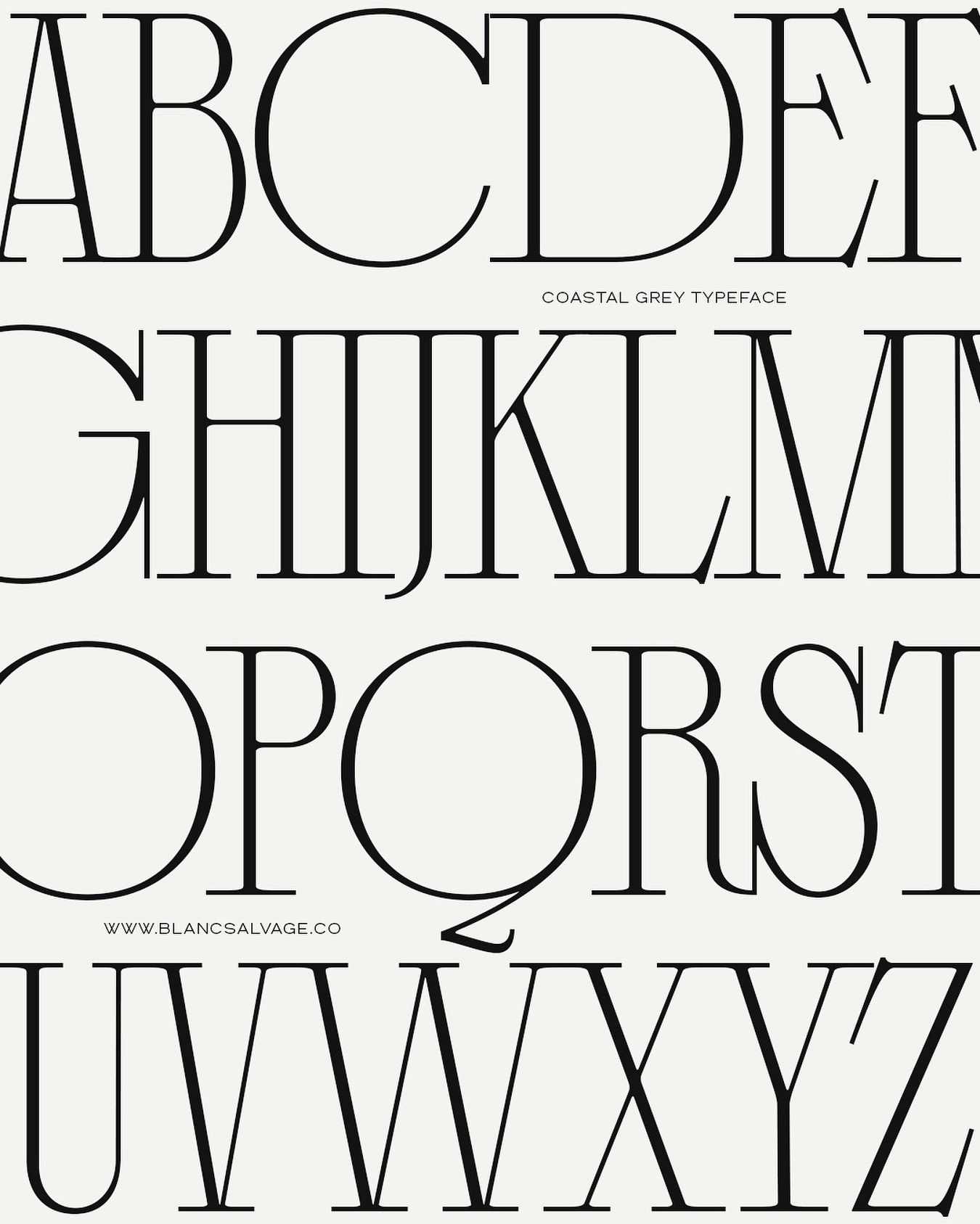 2024 Top Typography Trends Forecast — Blanc Salváge