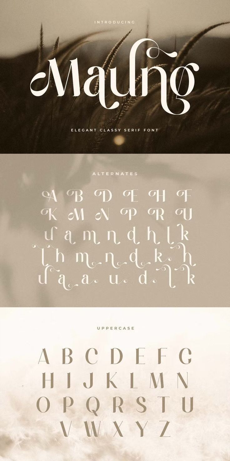 Elegant Class Serif Font