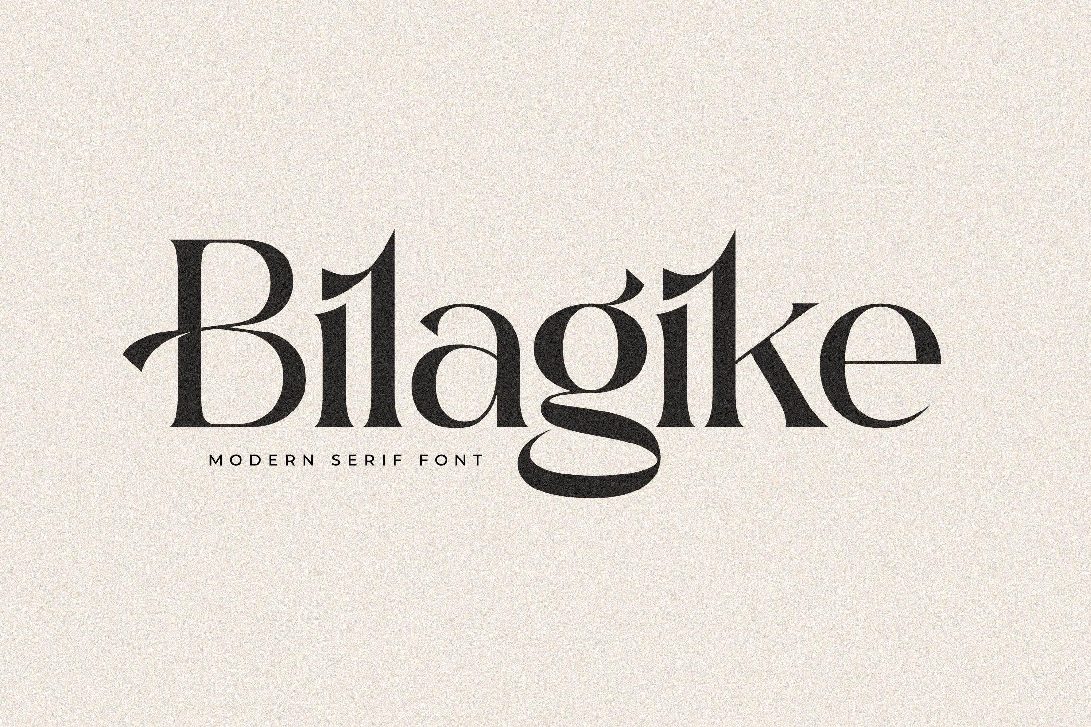 Bilgike Modern Serif Font by Storytype Studio | Creative Market