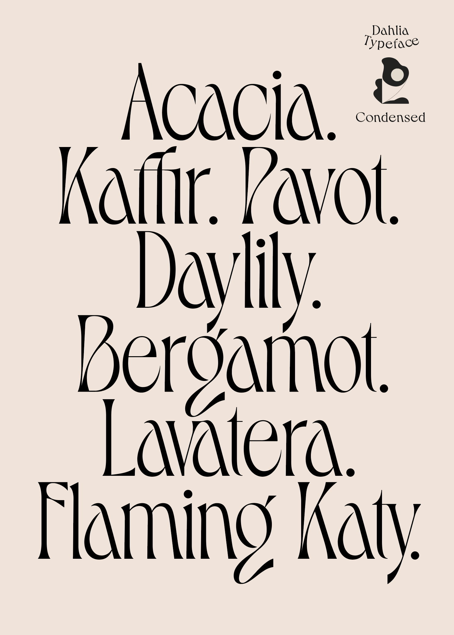 Dahlia Typeface by VJ Type: Stunning Font for Design 💖