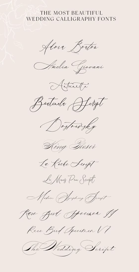 172,799+ Free & Premium Fonts 2024 | Creative Fabrica