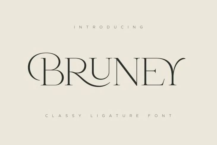 45+ Best Luxury & Elegant Fonts in 2025 (Free & Pro)