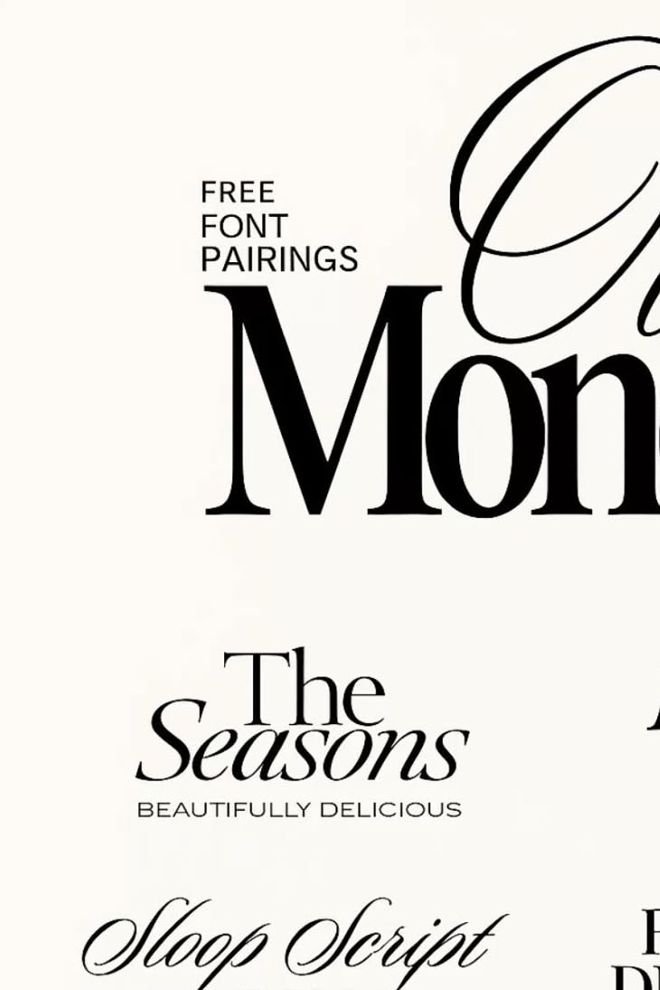 Elegant Branding with Serif Fonts