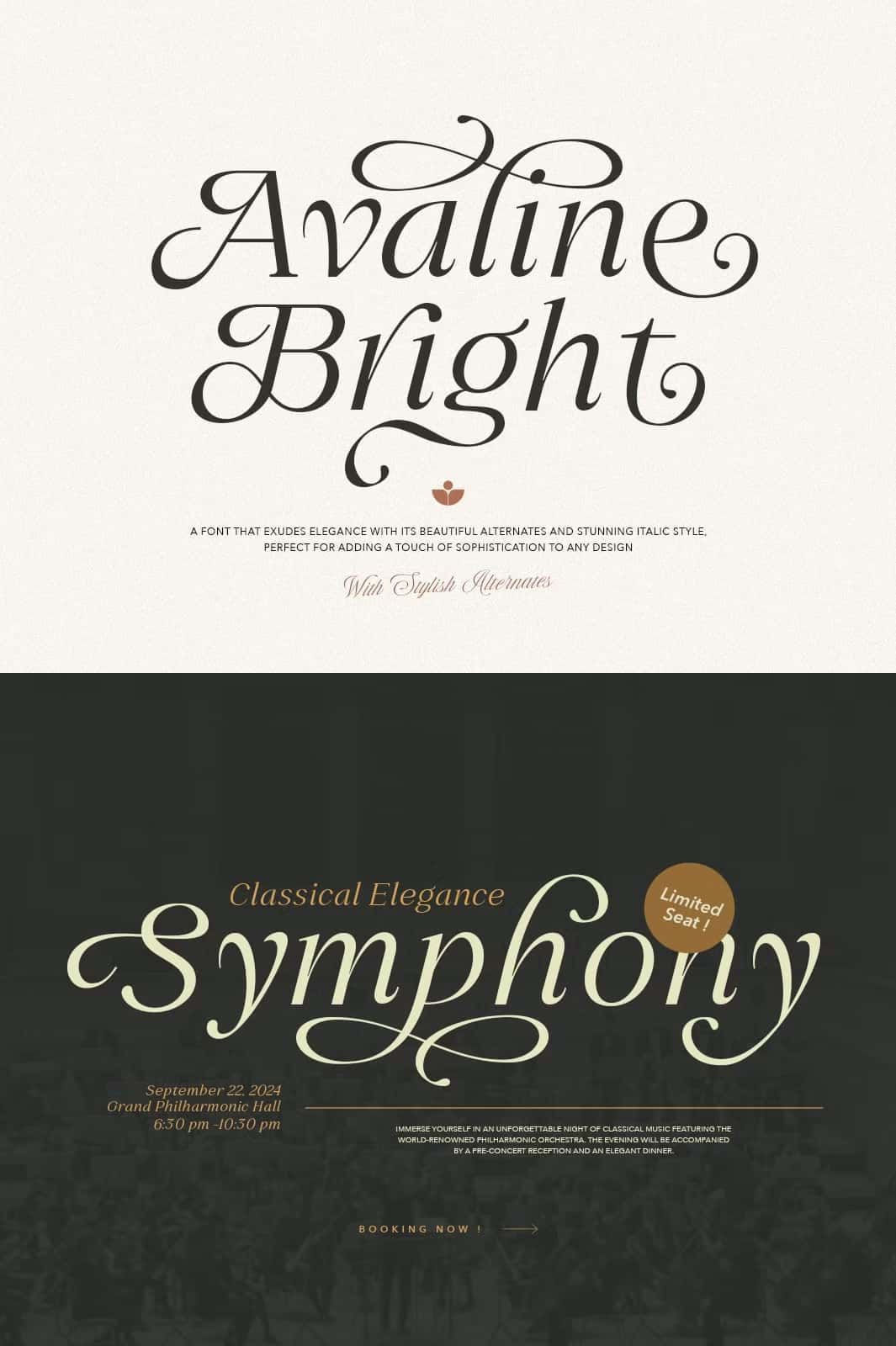 ✨ The Best Lettering Fonts to Elevate Your Designs | Italic font, Lettering🖤