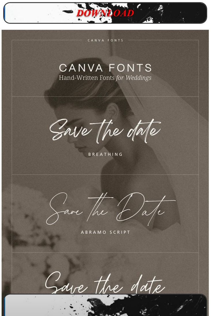 Victoria Lane Additional Details Card — 25 / Single Ply / Letterpress