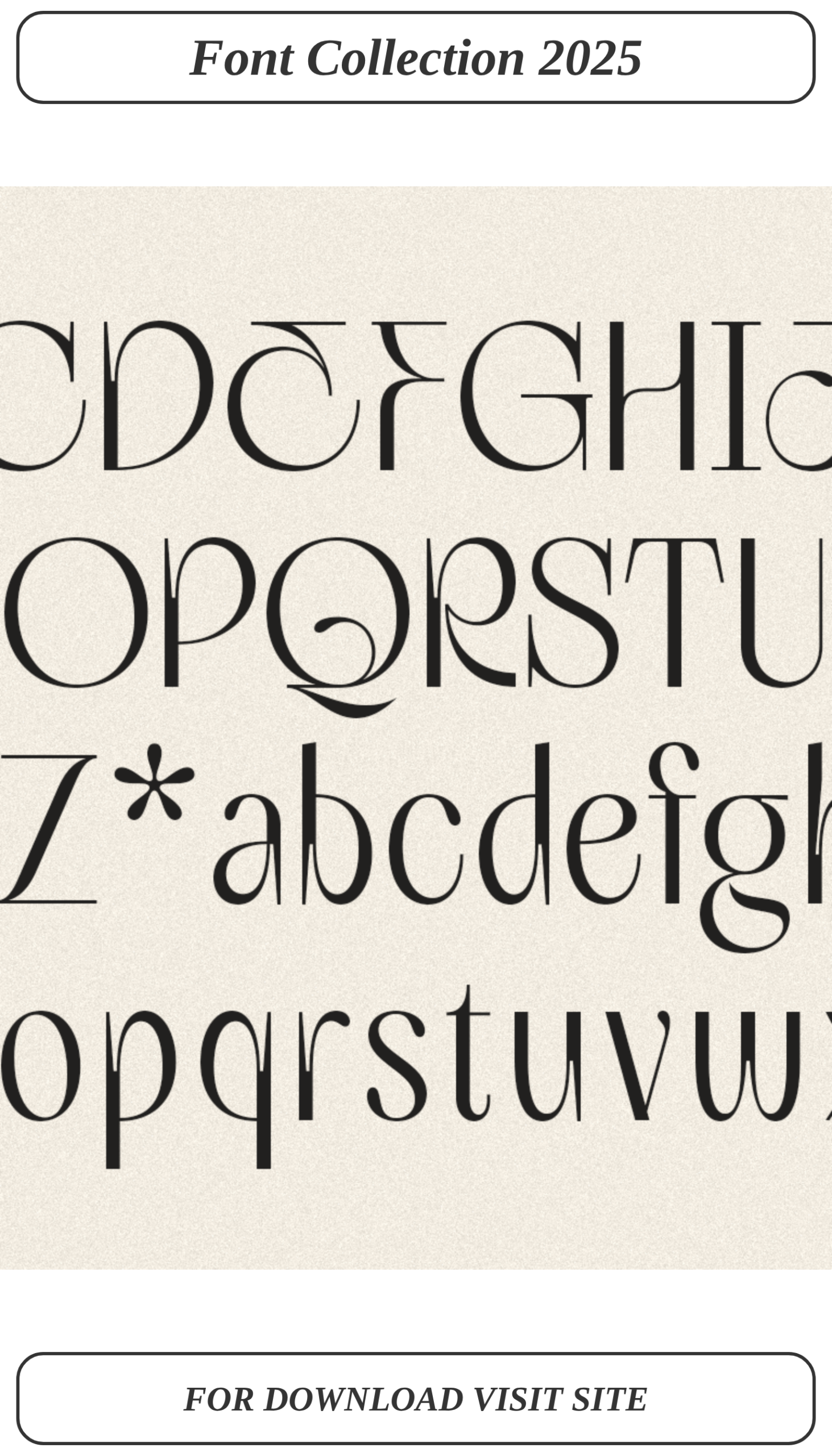 The ultimate vintage font bundle for stunning branding projects