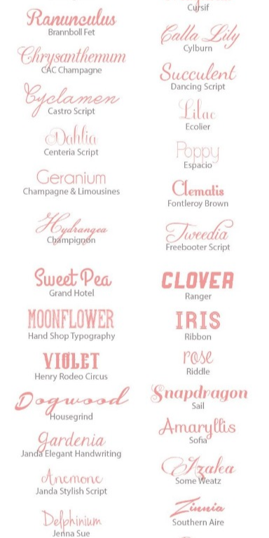 Top Wedding Cursive Fonts and Free Options for 2026