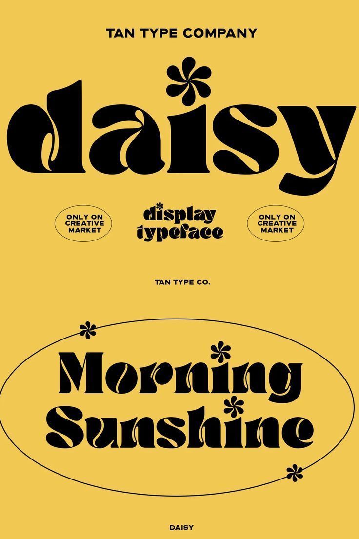 TAN — DAISY | Funky fonts, Retro font, Free calligraphy fonts🌞