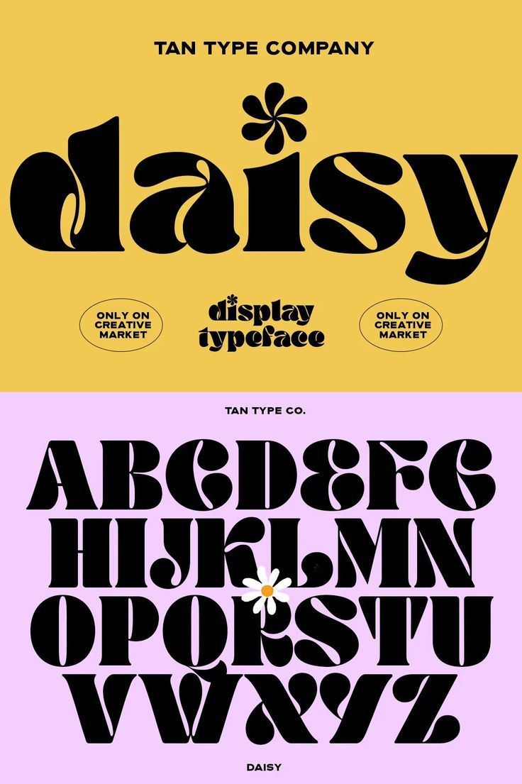 Tan Daisy Lettering Fonts: Alphabet & More!