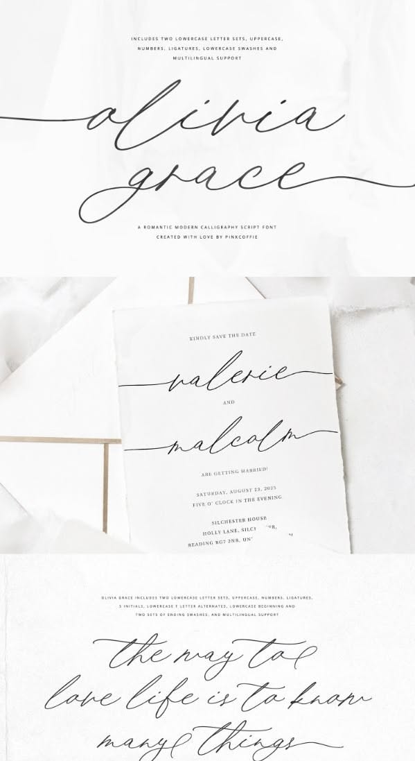 Wedding Script Font, Modern Calligraphy Script Font, Handwritten Font, Script Font by PinkCoffie