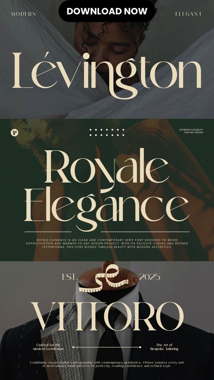 Royal Elegance — Modern Luxury Font | Creative Market