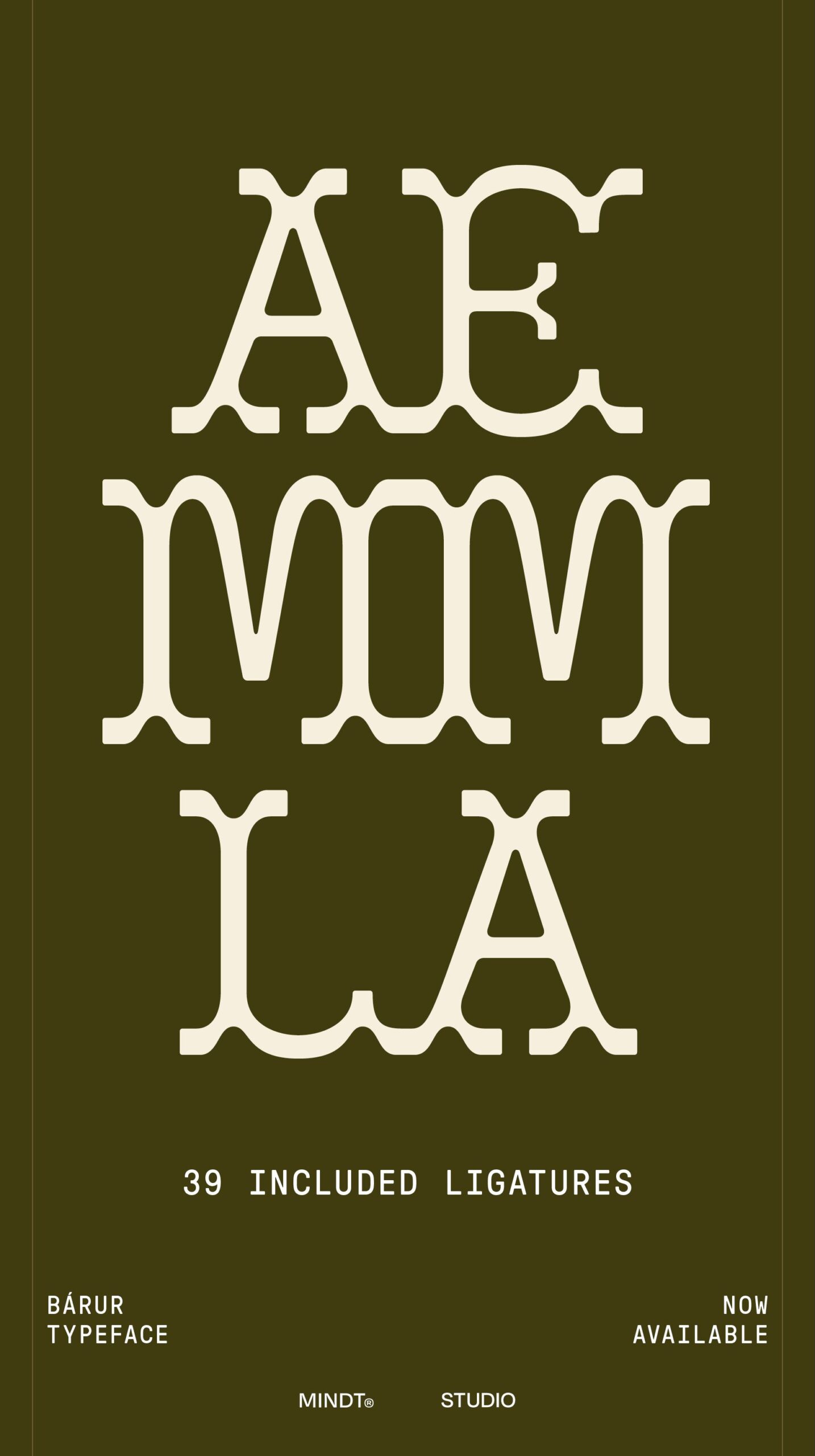 Bárur Display Serif — Organic, Feminine & Impactful