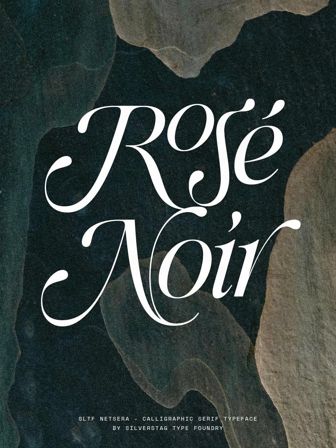 SilverStag Type Foundry on Instagram: «A little softness. A little contrast 🫶