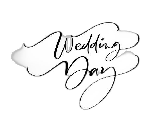 Download Wedding Day vector lettering text on white background. Handwritten Decorative Design Words in Curly Fonts. Great design for a greeting card or a print, romantic style for free
