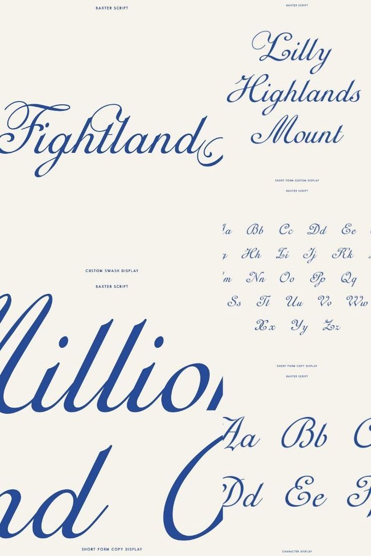 Baxter, an Elegant Script Font