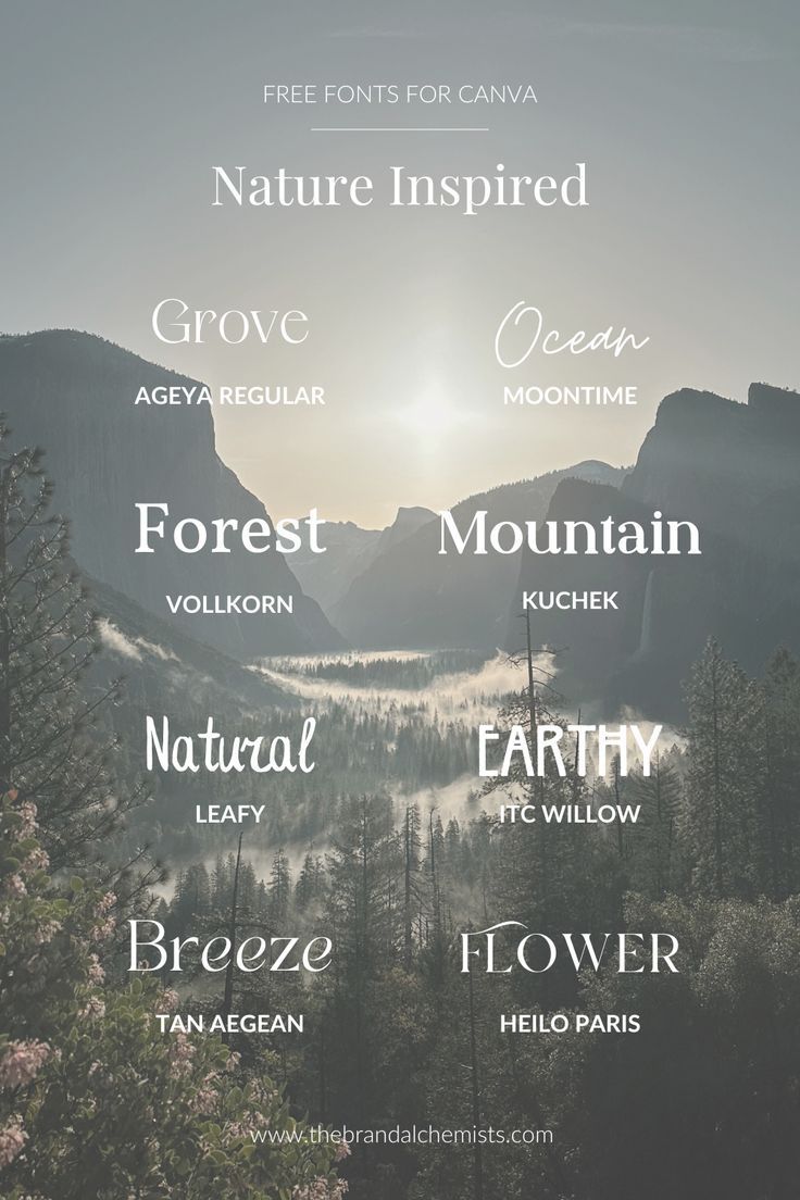 CURSIVE FONT, COOL FONT, COOLEST FONT.