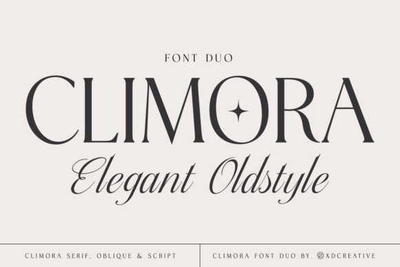 Serif Fonts [2026] | 2,309+ Popular Serif Fonts — Creative Fabrica