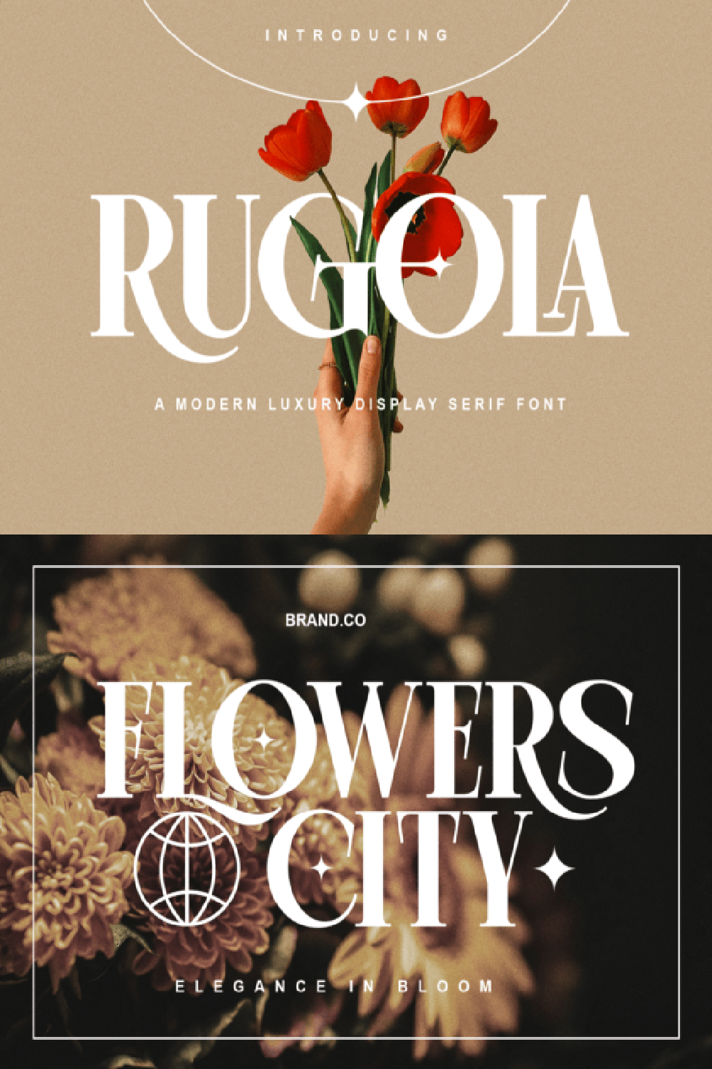 Rugola Font: Modern Luxury Display Serif for High-End Branding