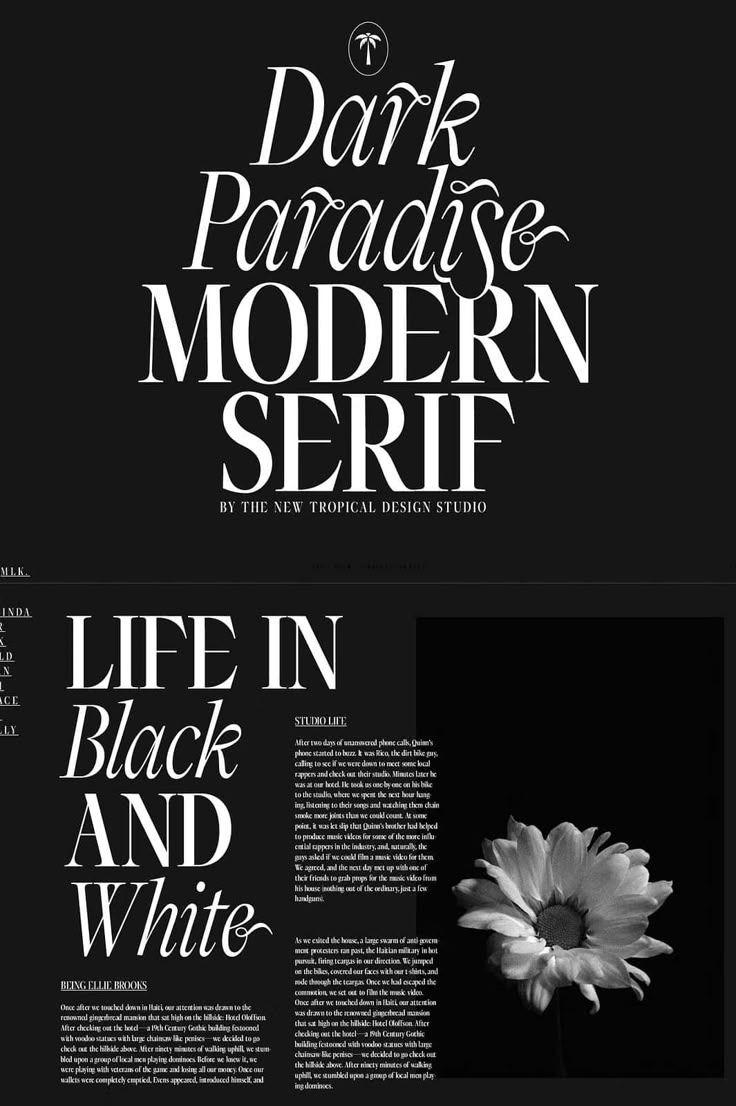 Dark Paradise — Modern Serif Font
