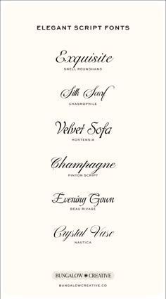 Refined Script Font Display, Stylish Cursive Typeface Examples.