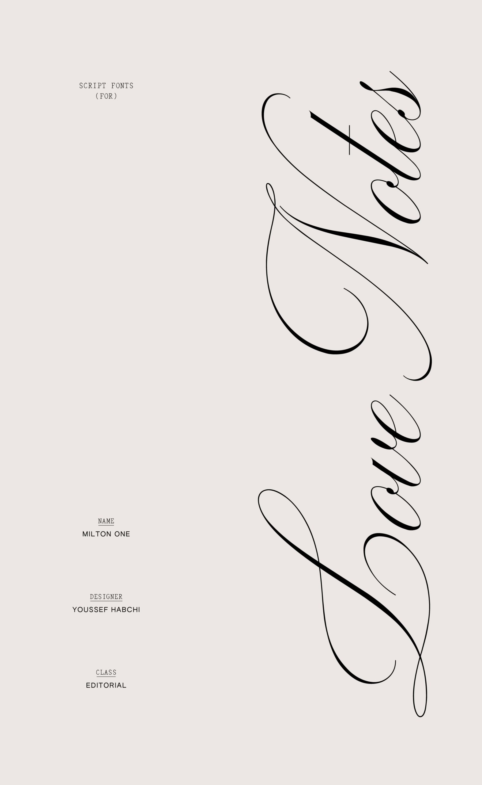 Editorial Script Fonts for High-End Brand Aesthetics