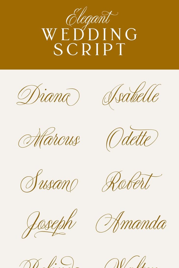 Best Wedding Script Font 2025 | Elegant Handwritten Typeface