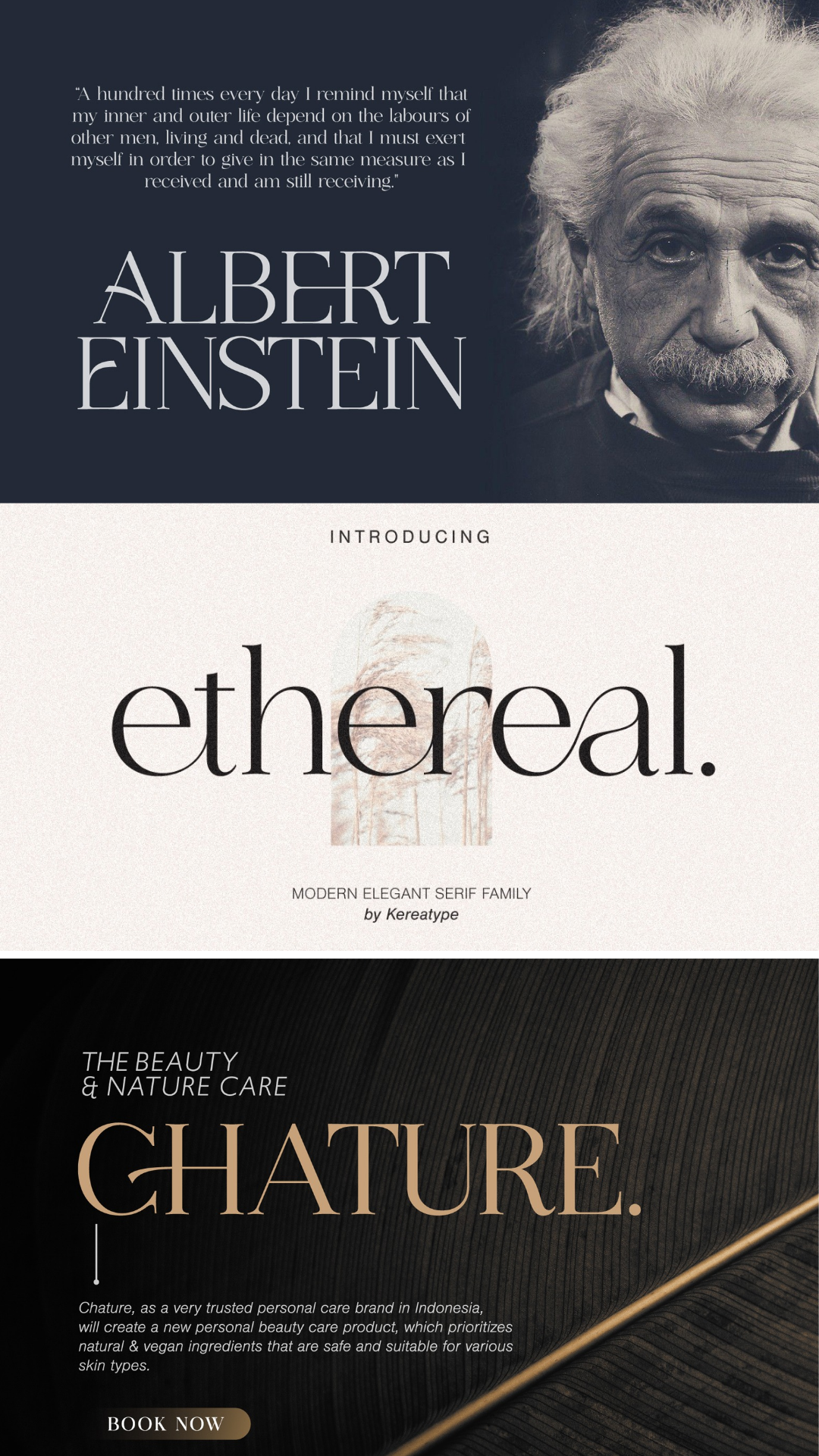 Best Free modern and elegant serif font 🌟