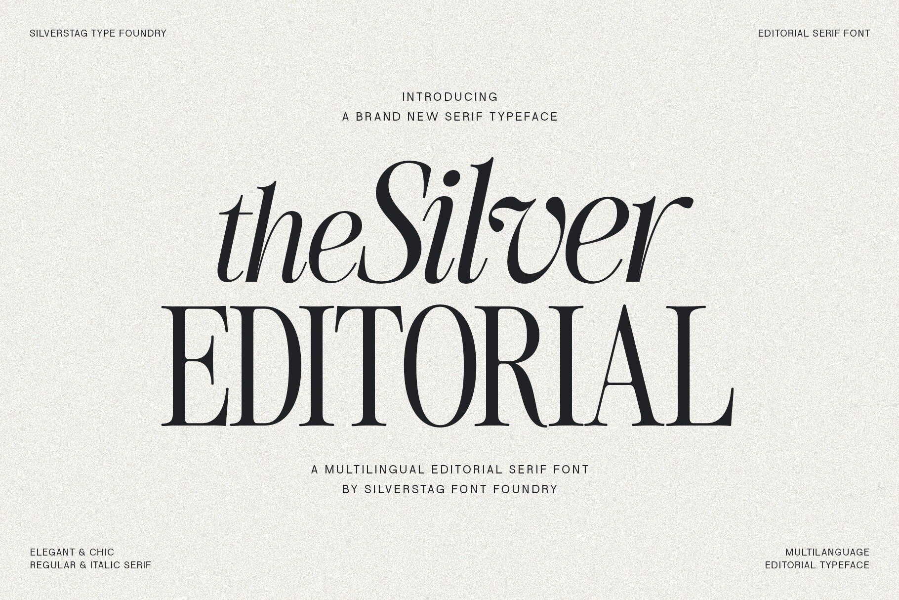 The Silver Editorial — Police moderne et chic avec empattement