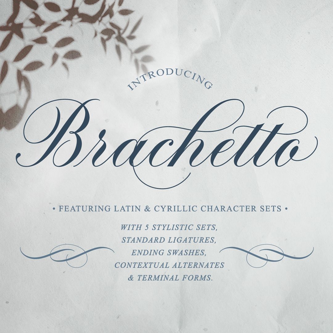 Brachetto — Calligraphy Script Font