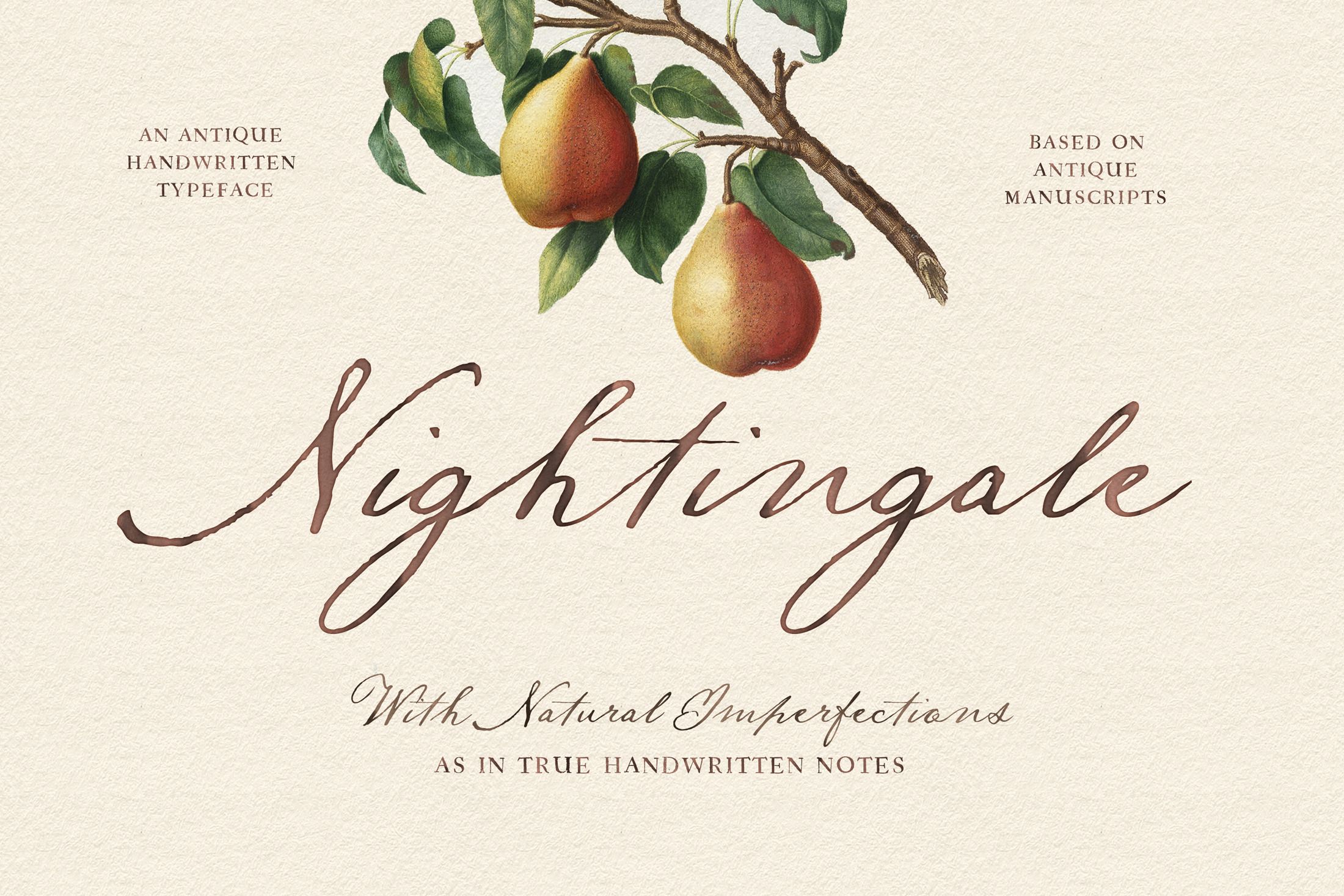 Nightingale Script, a Script Font by Nicky Laatz