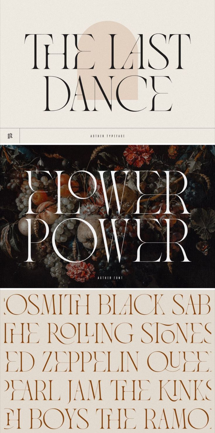 The Modern Typography Bundle