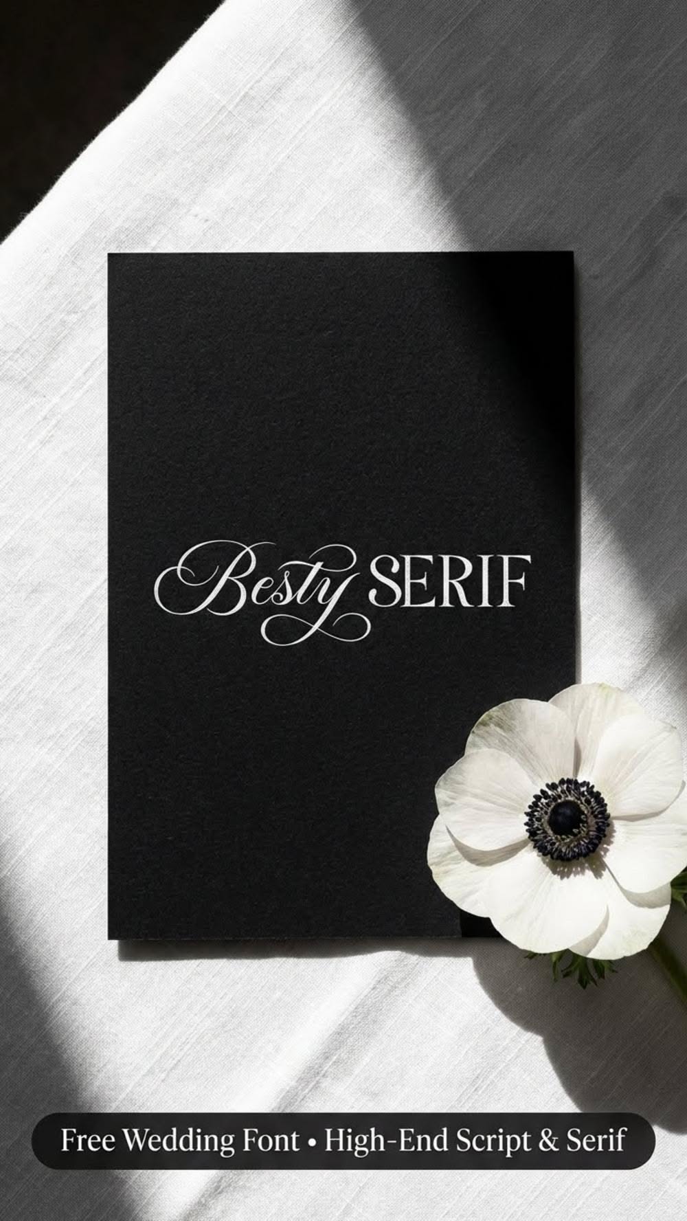 Luxury Script and Serif Font. Besty Serif Free Download.