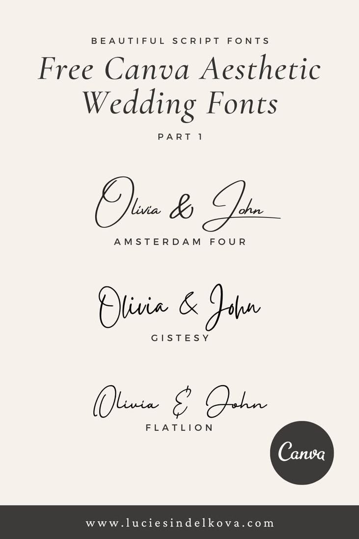181848+ Fonts (2024) — Download Free & Premium Fonts from Creative Fabrica