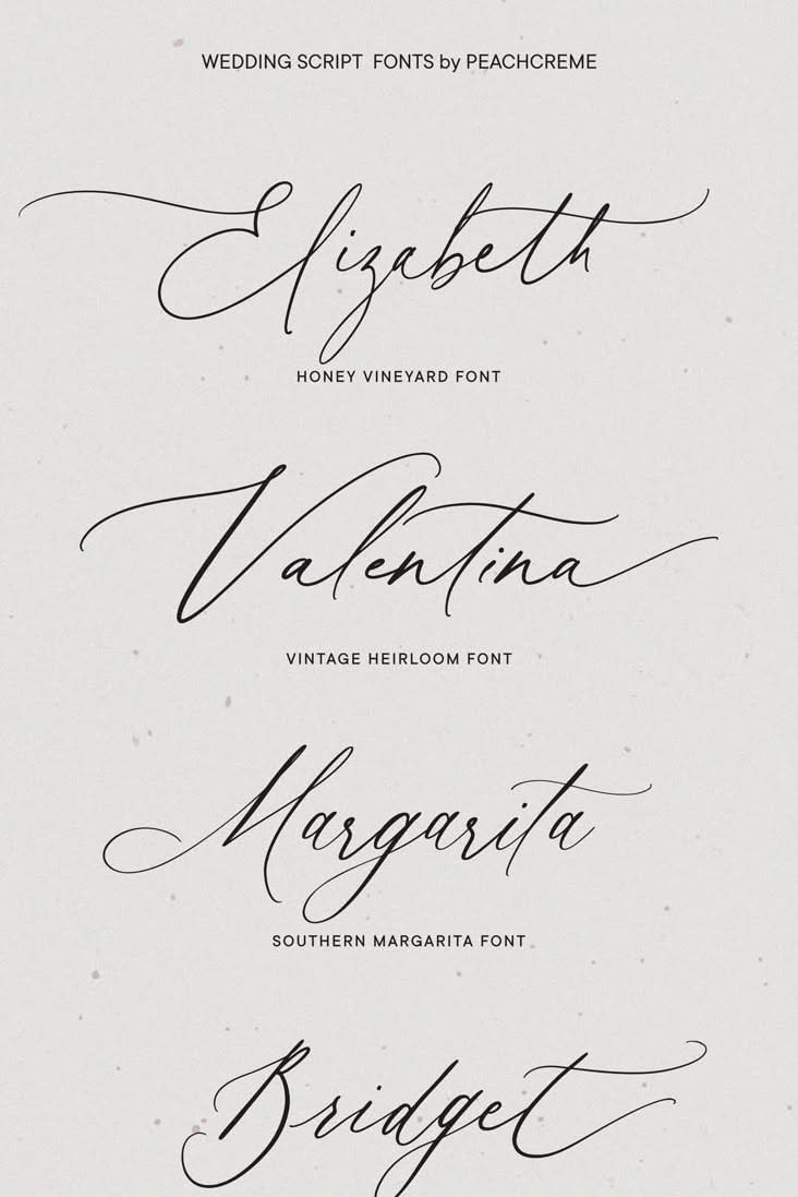 Free Aesthetic Script Fonts Download