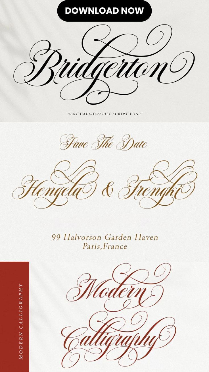 Romantic Calligraphy Font: Bridgerton’s Elegance ✨