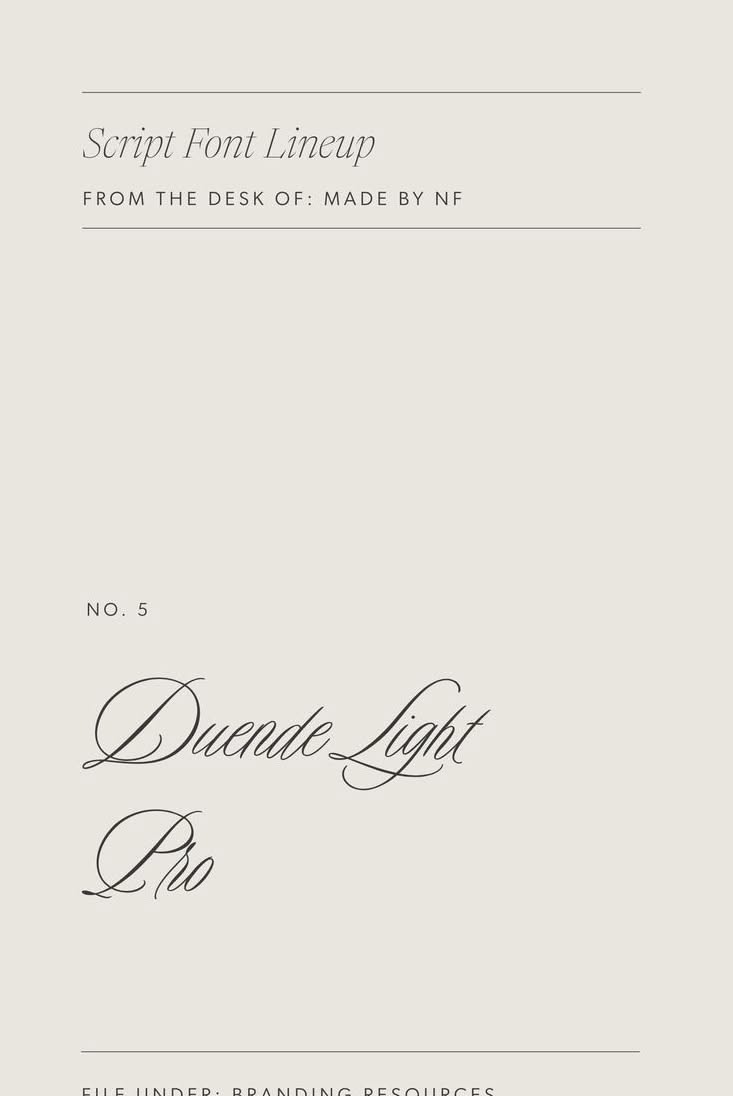 Top Luxury Script fonts for Wedding Planners and Photographers