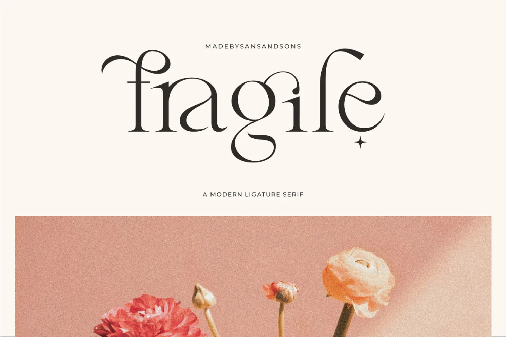 Fragile — Modern Serif, a Serif Font by Sans & Sons