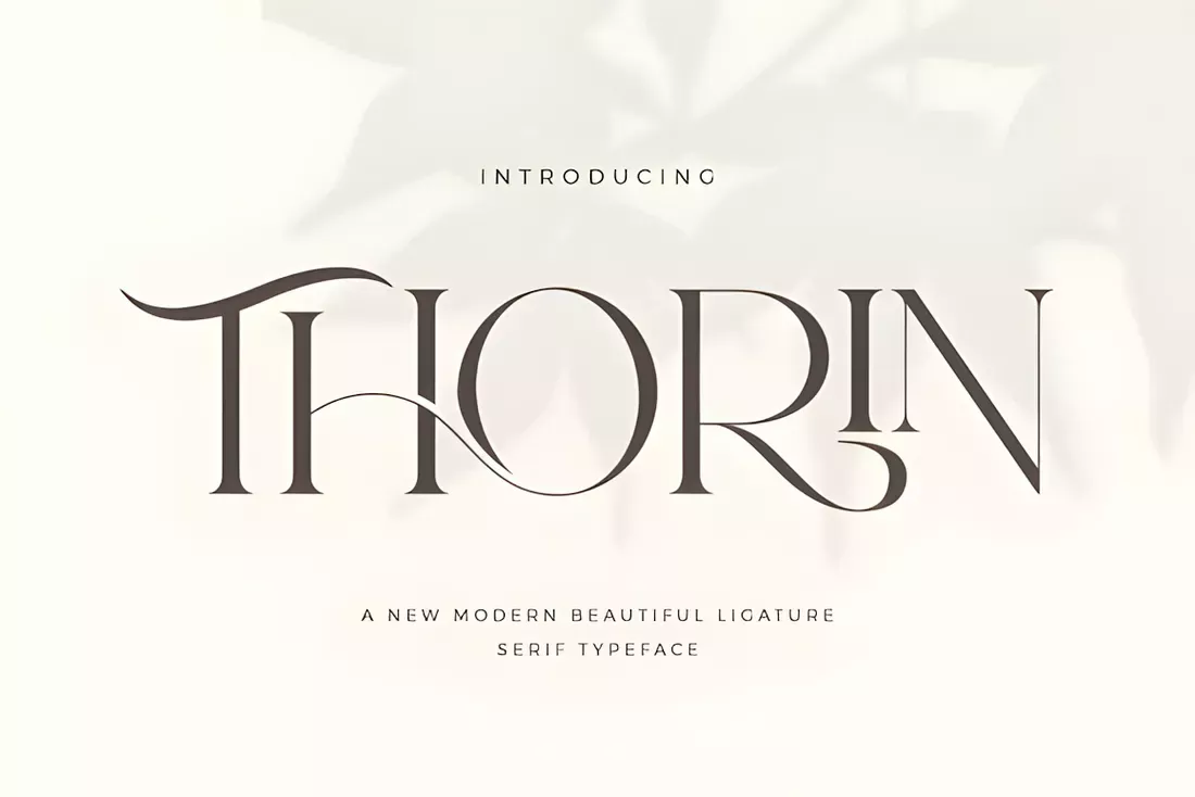 Unique and Creative Fonts to Add Artistic Flair to Your Designs🫶