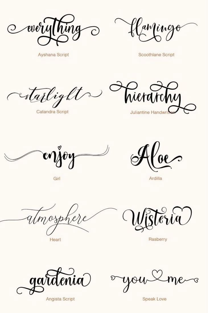 Script Fonts | Best Script Fonts — Creative Fabrica