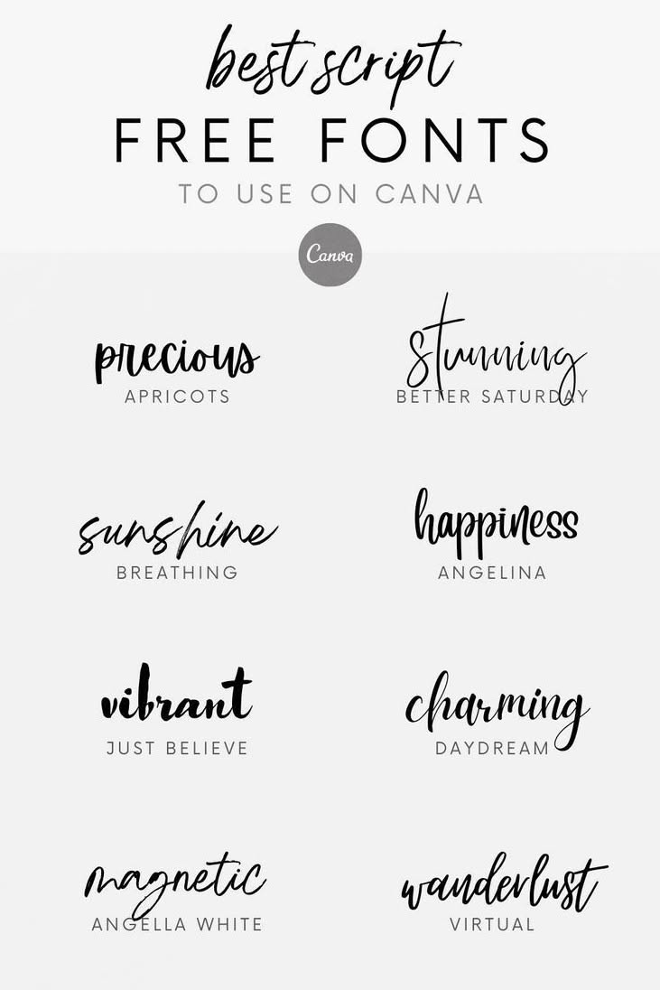Best Free Script Fonts on Canva (Part 2) | Free script fonts, Best free script fonts, Graphic desig