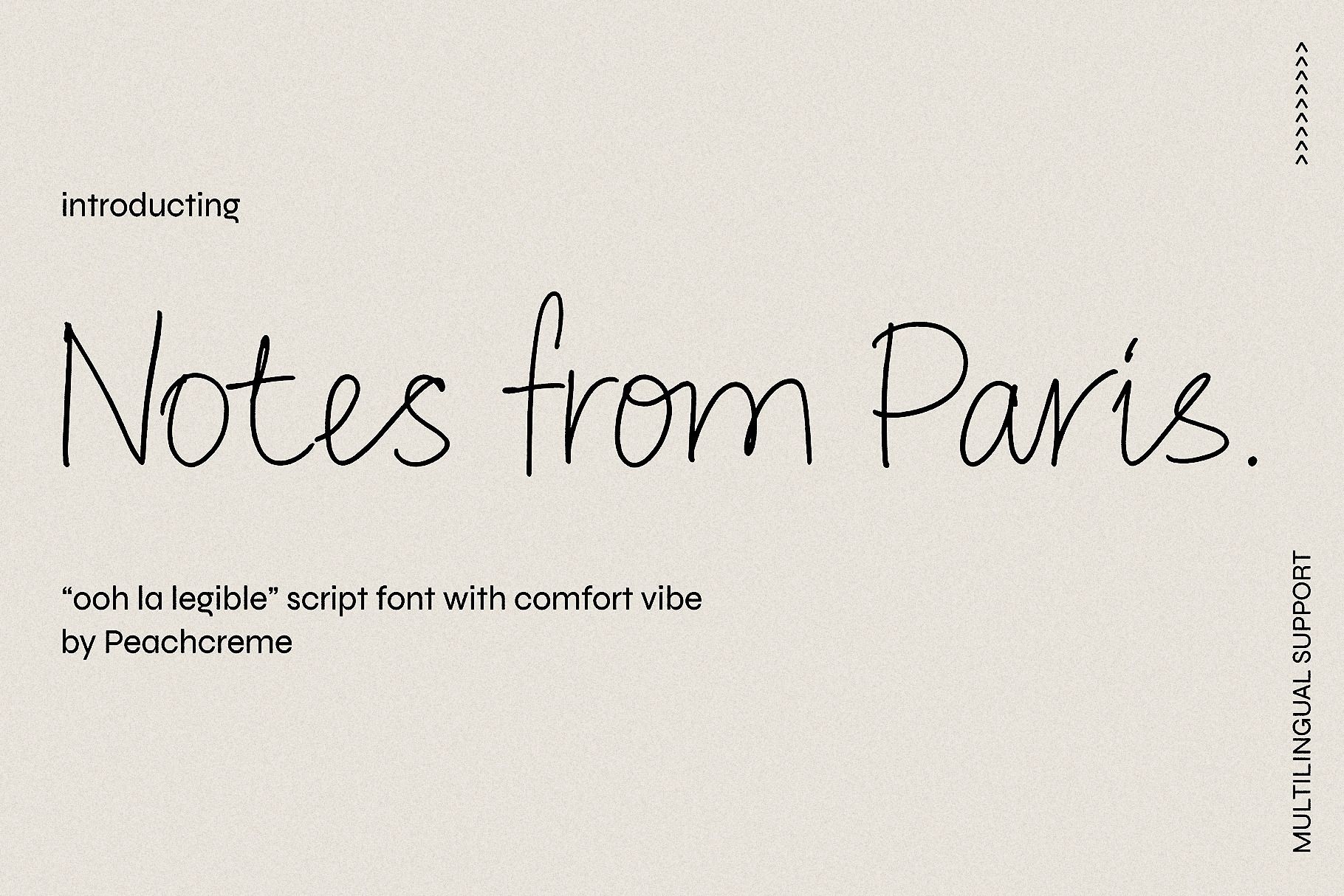 Notes from Paris Legible Script Font, a Handwritten Font by PeachCreme