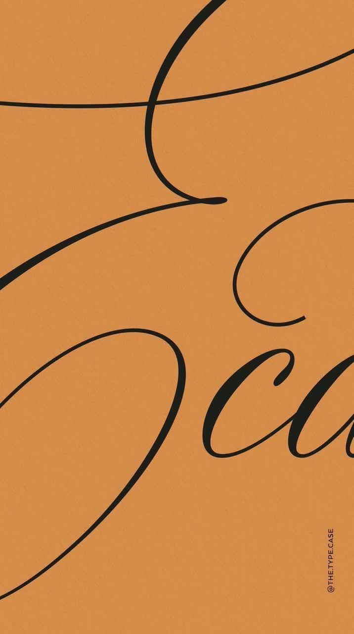 Elegant Handwriting Script Font for Wedding Invitations & Holiday Design