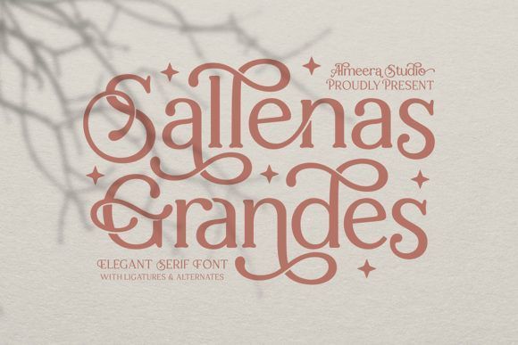 Sallenas Grandes Font by Almeera Studio