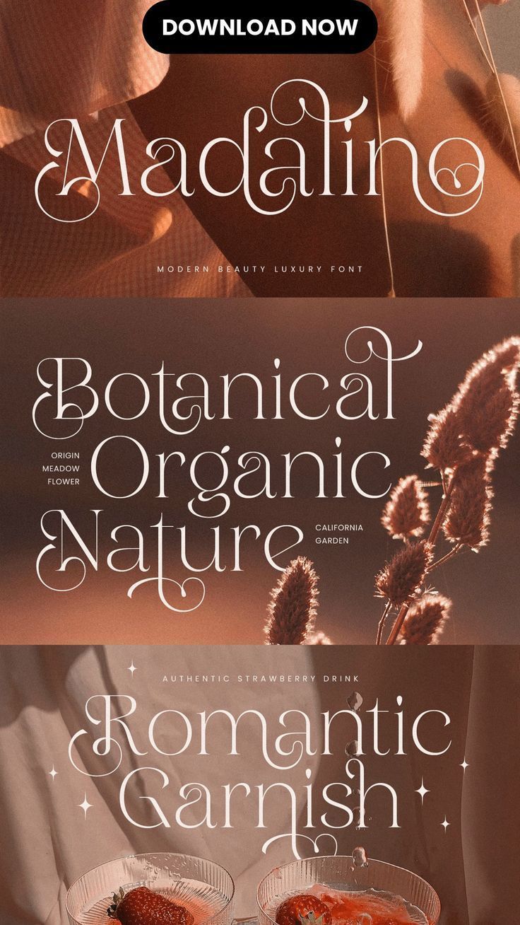 Madalino — Modern Beauty Luxury Font | Creative Market