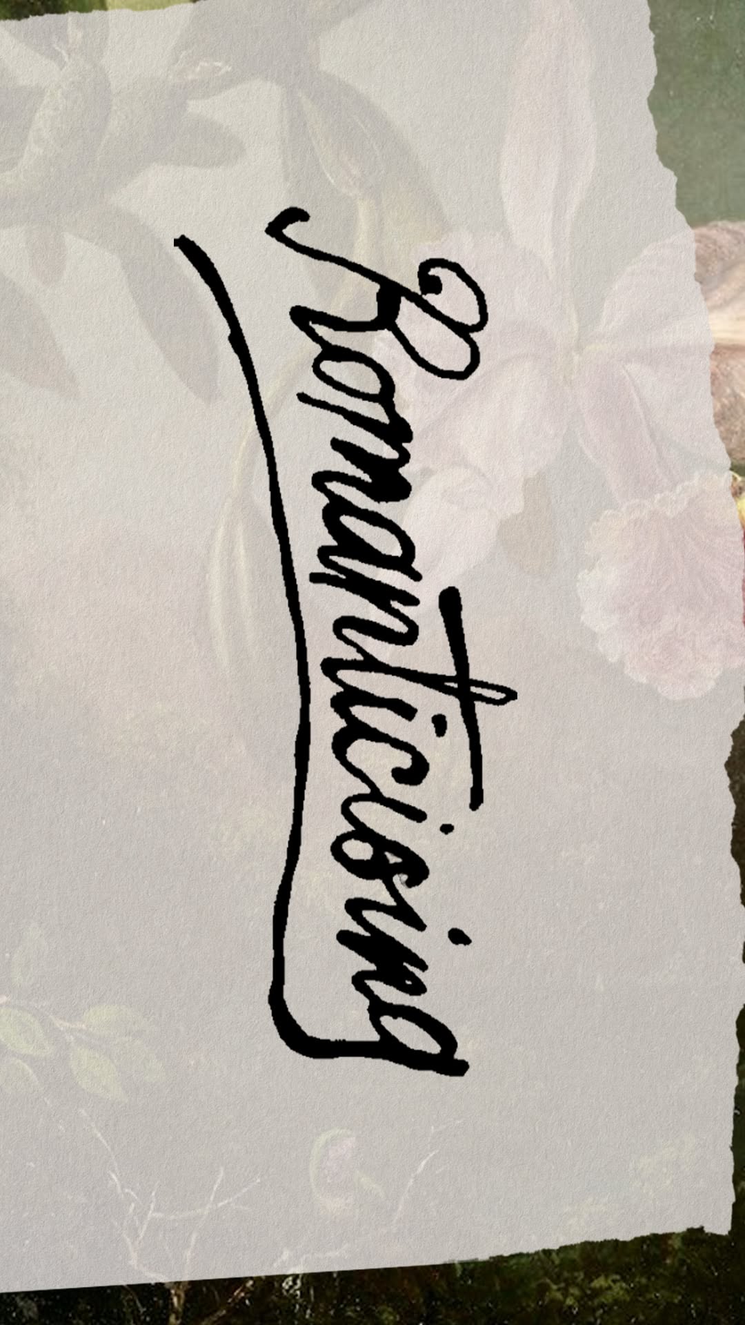 Mikaela Hale Design — Brand, Graphics and Illustration.