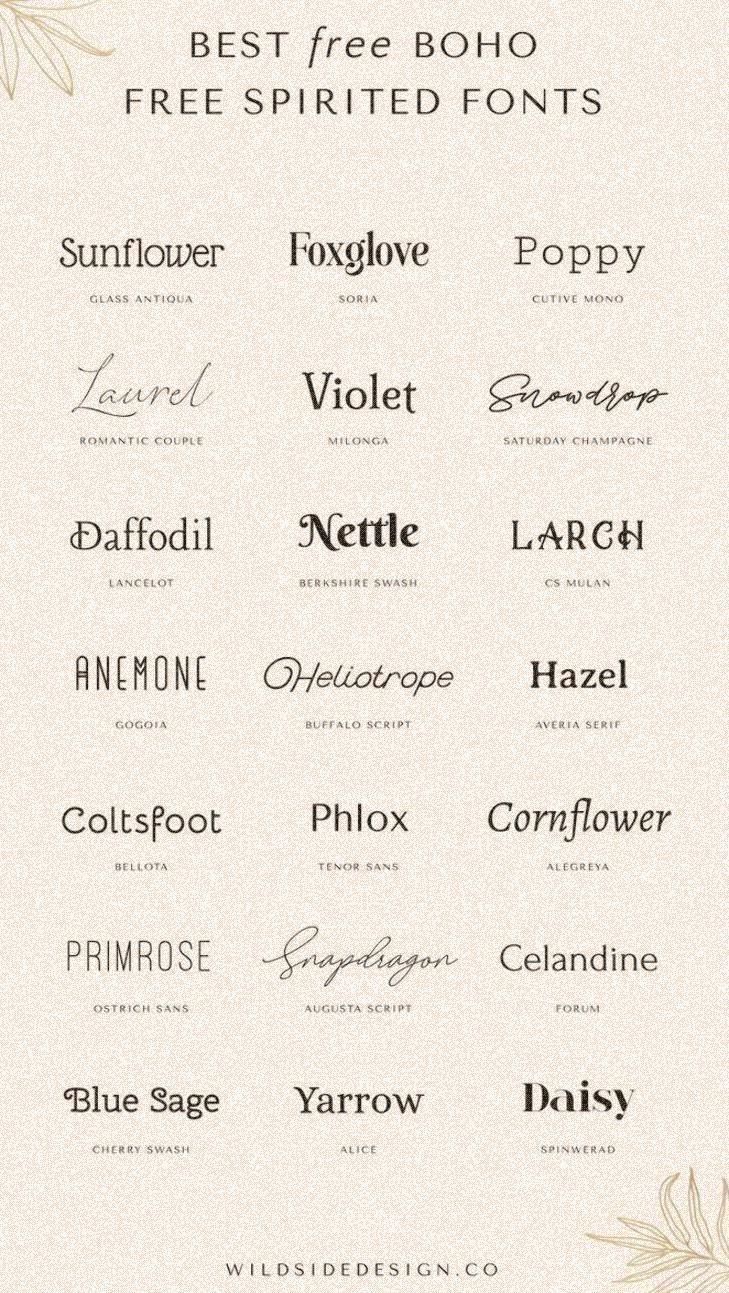 Elevate Your Brand: Stunning Font Choices